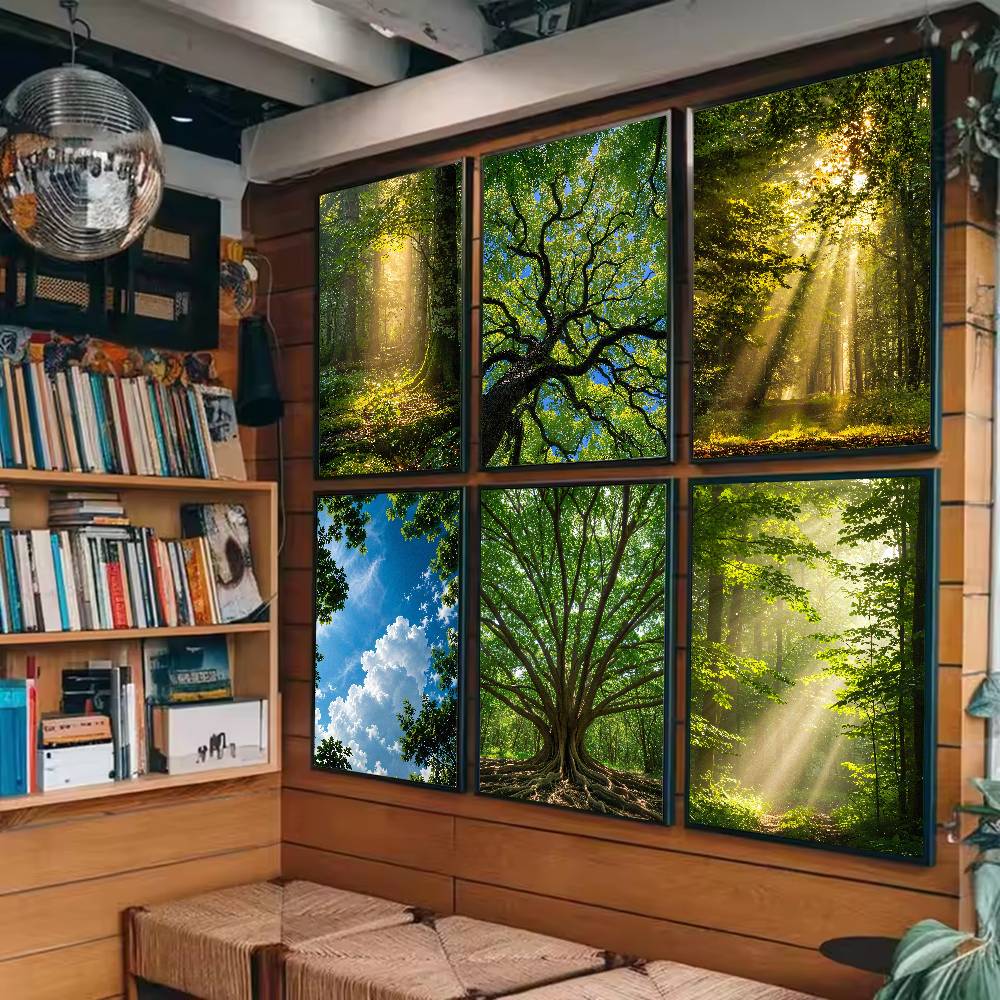 Sunbeam Forest Nature Poster,  - Wall Decor Lighting Tree recension och pris
