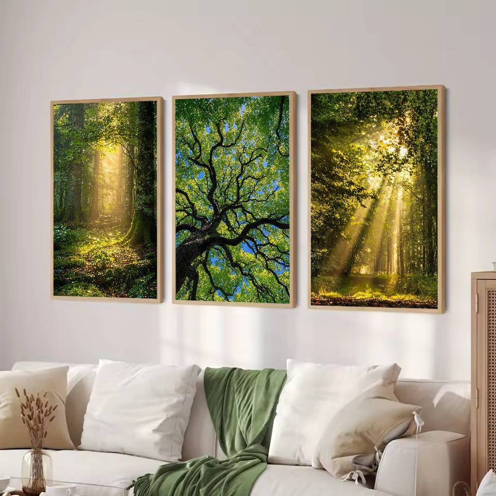 Sunbeam Forest Nature Poster,  - Wall Decor Lighting Tree recension och pris